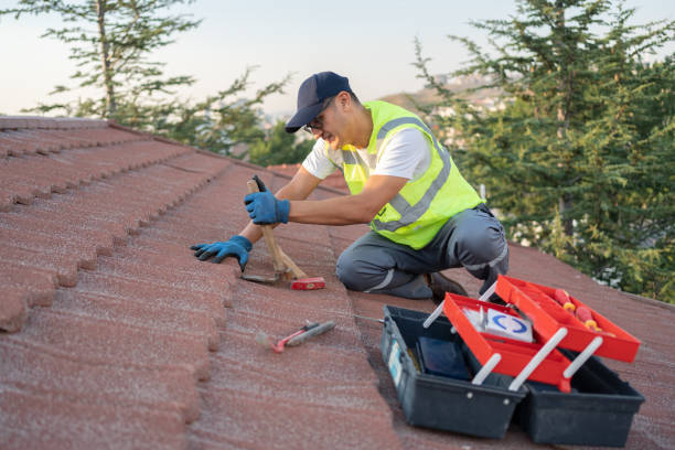 Roof Gutter Cleaning in Mio, MI